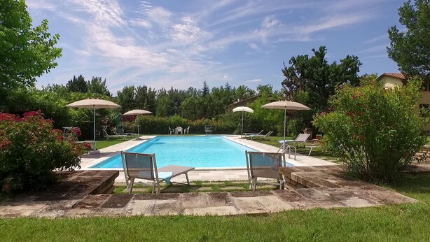 Una piscina rectangular con borde de baldosas, rodeada de césped y árboles. Hay sillas de descanso y sombrillas alrededor de la piscina.
