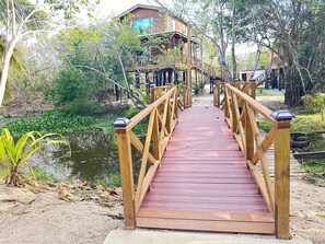 A wooden bridge leading to a wooden house with multiple levels, surrounded by lush greenery and a pond. - Amazing Jungle Tree House right over the river with bikes and canoe  (Burrell Boom Village)
