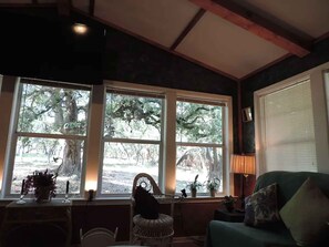 TV connectée, cheminée, lecteur de DVD, livres