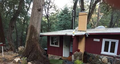 Perfect Palomar Mountain Getaway - Little Red