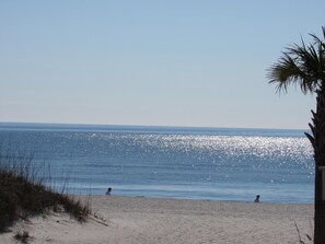 Ein Strand mit blauem Himmel, ruhiger See und einer Palme.