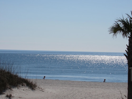 HARBOR HOUSE UNIT B-21- PARADISE HEART OF GULF SHORES - BEACH SIDE