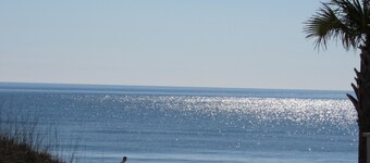 HAVENHUSEN ENHET B-21-PARADISE I HJULET AV GULF SHORES - BEACH SIDE