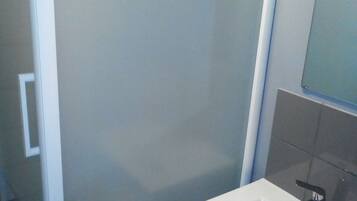 A bathroom with a glass shower enclosure, a white sink, and a mirror.