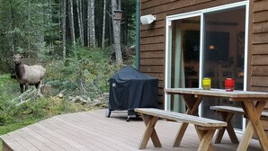 A wooden deck with a barbecue grill and picnic table, surrounded by a forested area. - Cozy Studio Apartment Near Crystal Mtn Ski Resort & Mt Rainier National Park (Enumclaw)