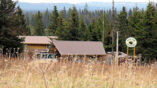 A rustic cabin with a metal roof, surrounded by tall pine trees and dry grass. A sign in the foreground reads "Bear Paw Adventure." - Moose - Unique Alaskan log home in trees & wildflowers on 14-acre homestead. (Anchor Point)