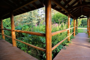 Property grounds - Unique Alaskan log home in trees & wild flowers on 14-acre private homestead. (Anchor Point)