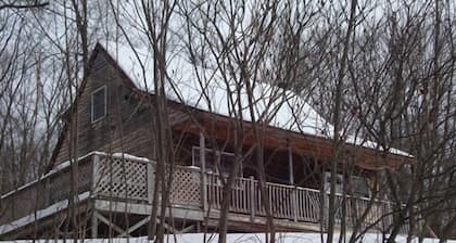 Cabin on 4 acres near Elk Mountain/Dogs OK/Easy Drive from Philly and NYC