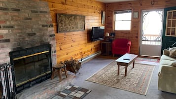 TV, fireplace, books, music library