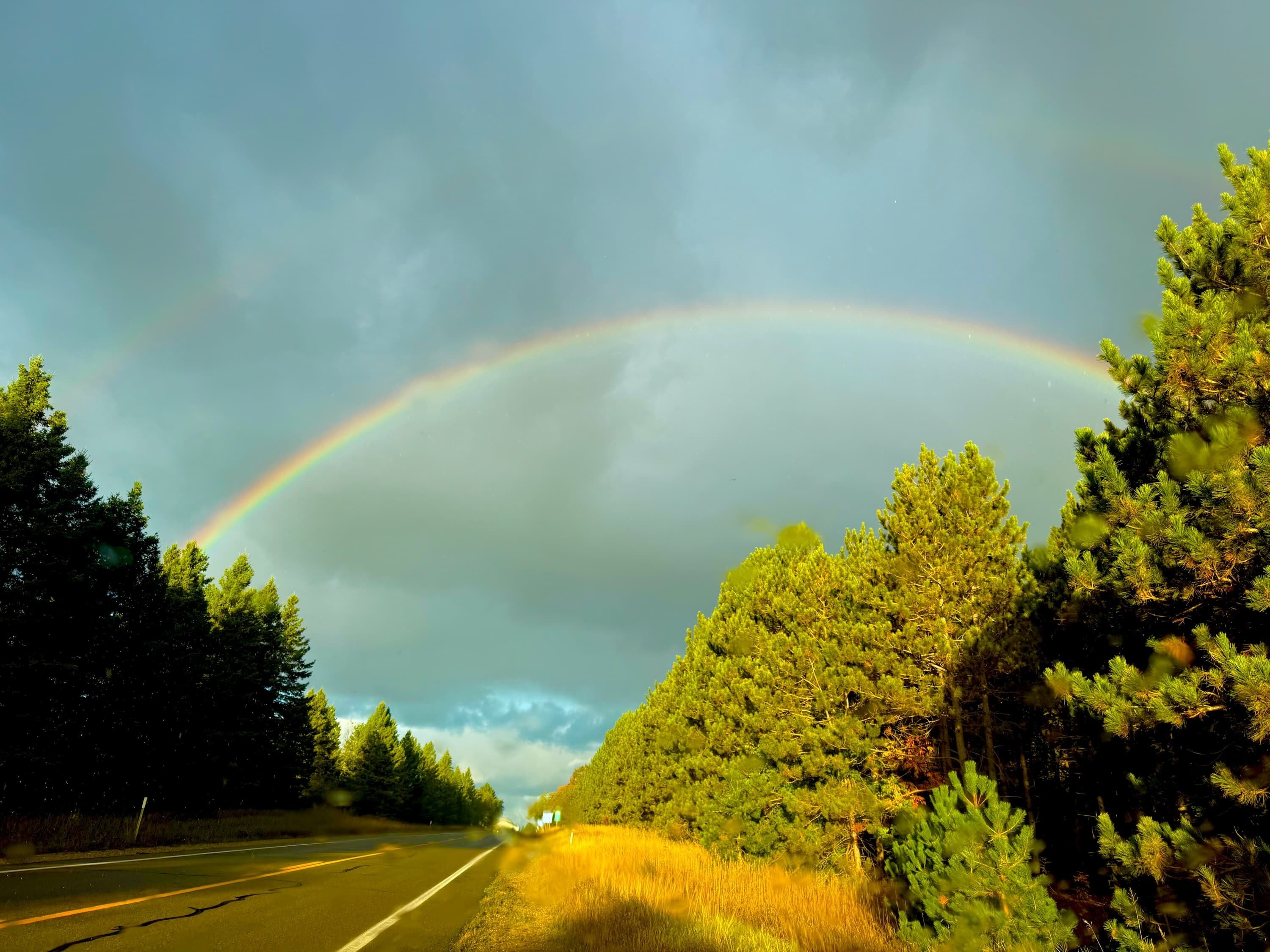 Een weg met een regenboogboog erboven, omgeven door dichte groene bomen.