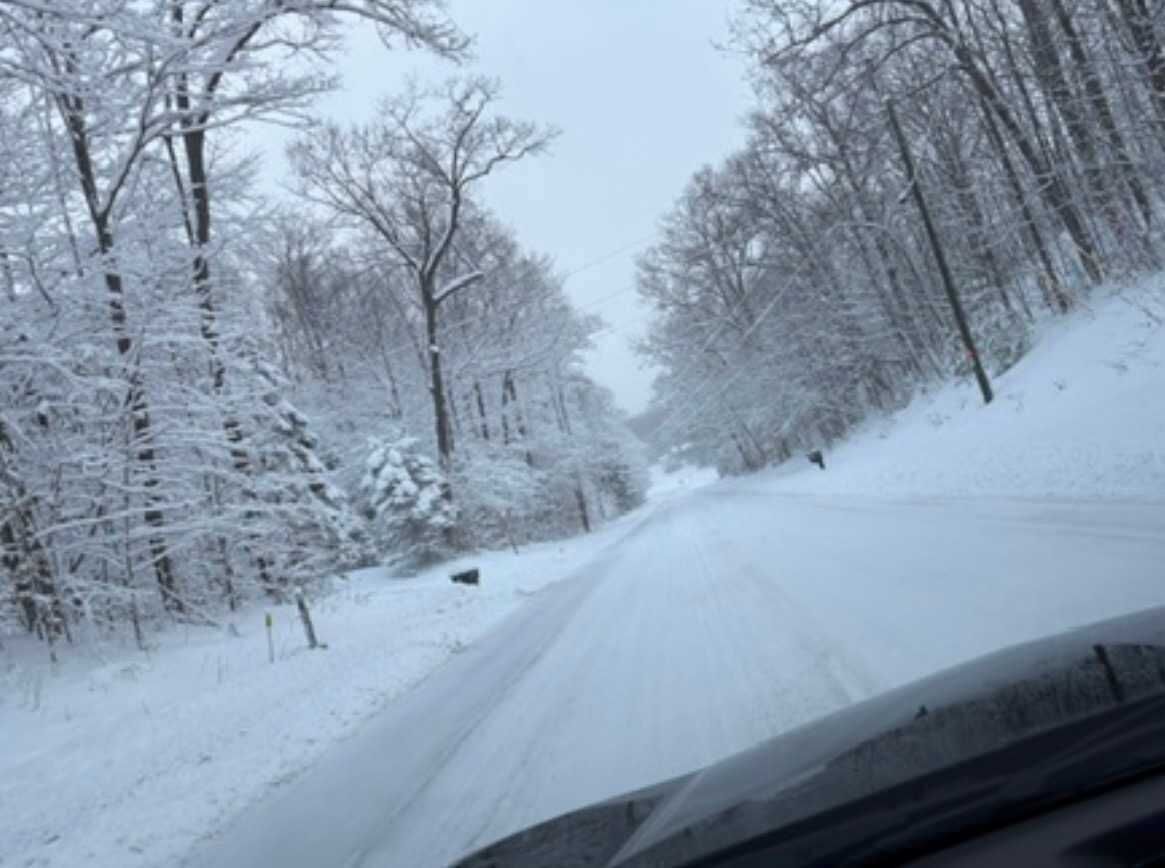 Une route enneigée bordée d’arbres sans feuilles.