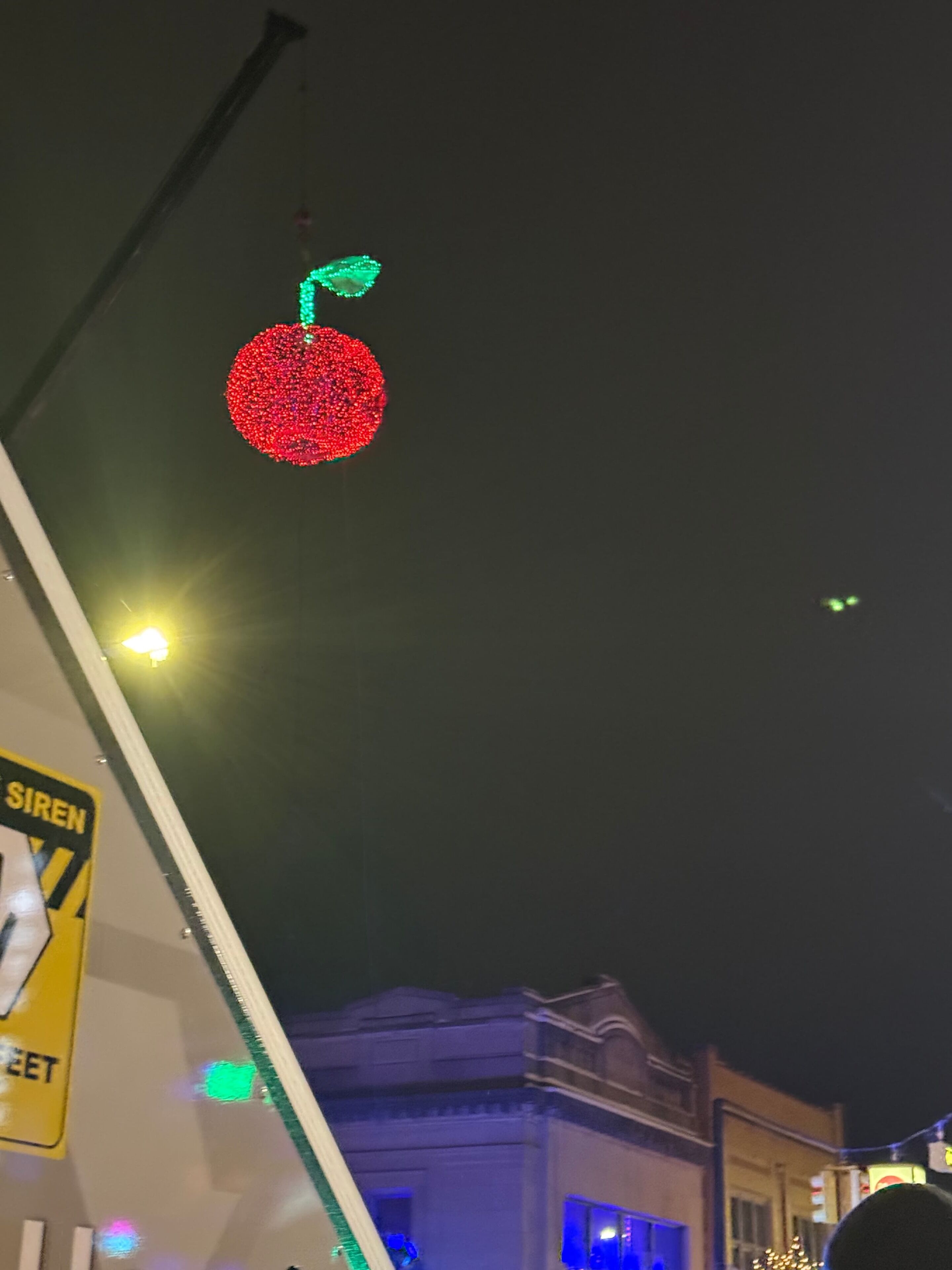 Un edificio con una gran decoración iluminada de cerezos.