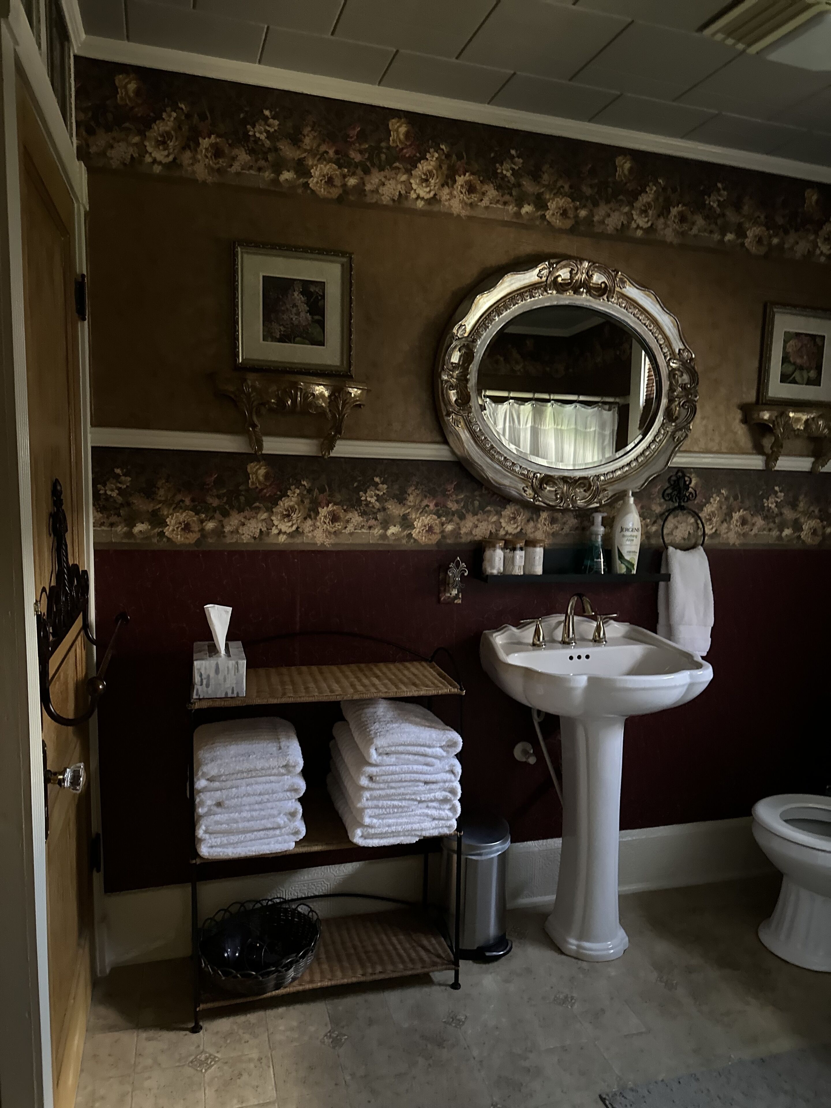 Secador de cabelo, toalhas de banho, shampoo 