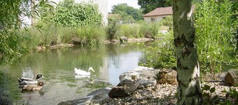 Holiday Cottage On Our Smallholding
