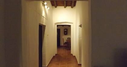 House of the Neighbors - Taipa Houses