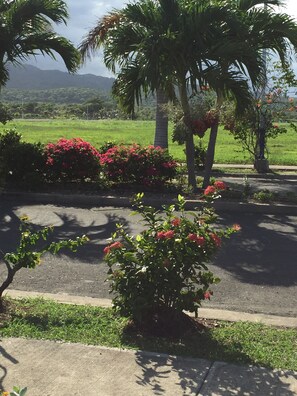 المنطقة المحيطة بالمنشأة