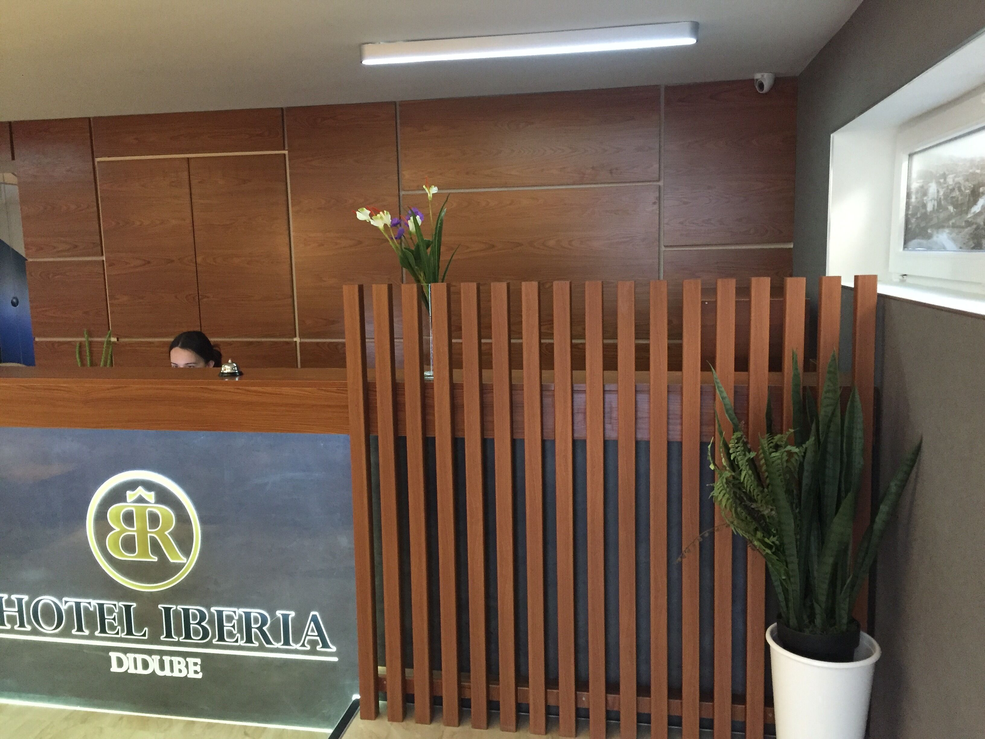 Foto - Iberia Didube