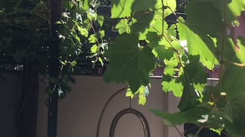Cortile