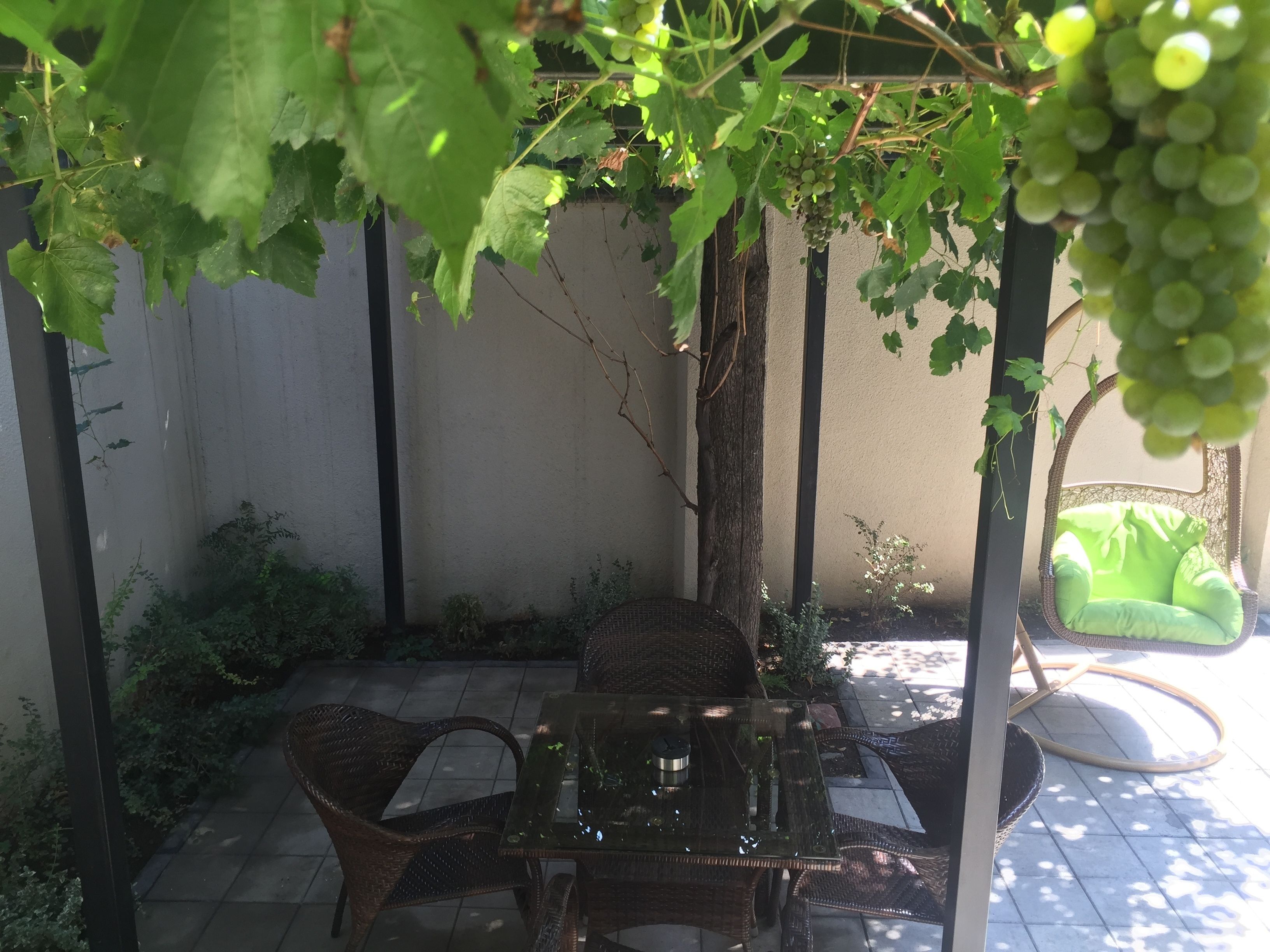 Foto - Iberia Didube