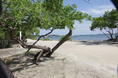 #443- 2Bed 2 Bath Brand New Beauty!