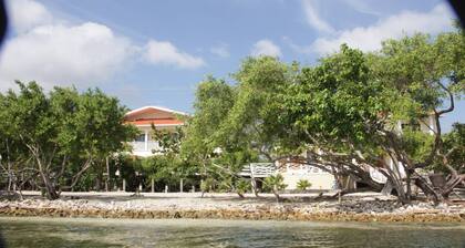 #443- 2Bed 2 Bath Brand New Beauty!