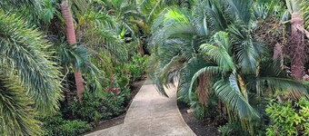 Private Pool*Full Solar*Secluded Rainforest Setting*1 Mile from PR3*20 From SJU

