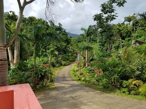 المنطقة المحيطة بالمنشأة