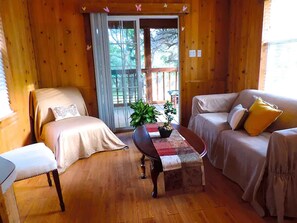 TV, fireplace, DVD player, books