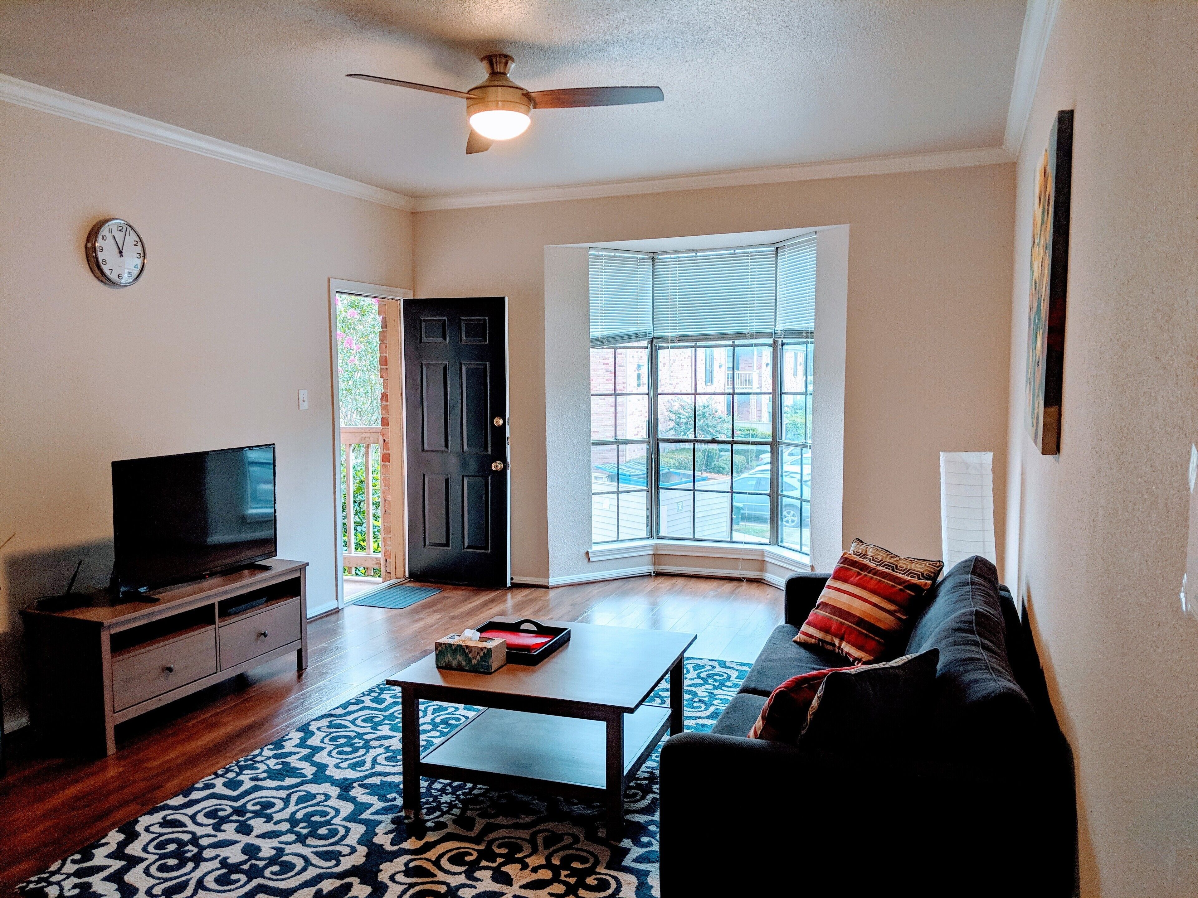 Big Clean Apartment ideal for MD Anderson, Medical Center, and Rice University. 