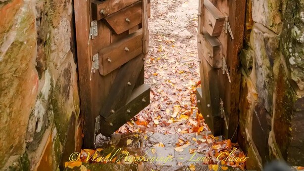 Un arc en pierre surmonté de portails en bois, qui mène à un sentier recouvert de feuilles mortes.