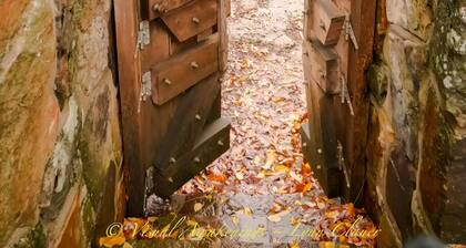 Chùteau exclusif, situé au centre de Branson à la magnifique riviÚre Buffalo!