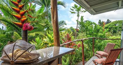 Gingerhill Farm Retreat. Commune with Nature In South Kona.