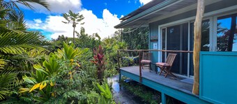 Gingerhill Farm Retreat. Commune with Nature In South Kona.