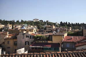 Exterior - Torre Lambertesca-FiorenTino, studio with big terrace over the roof of Florence (Firenze)