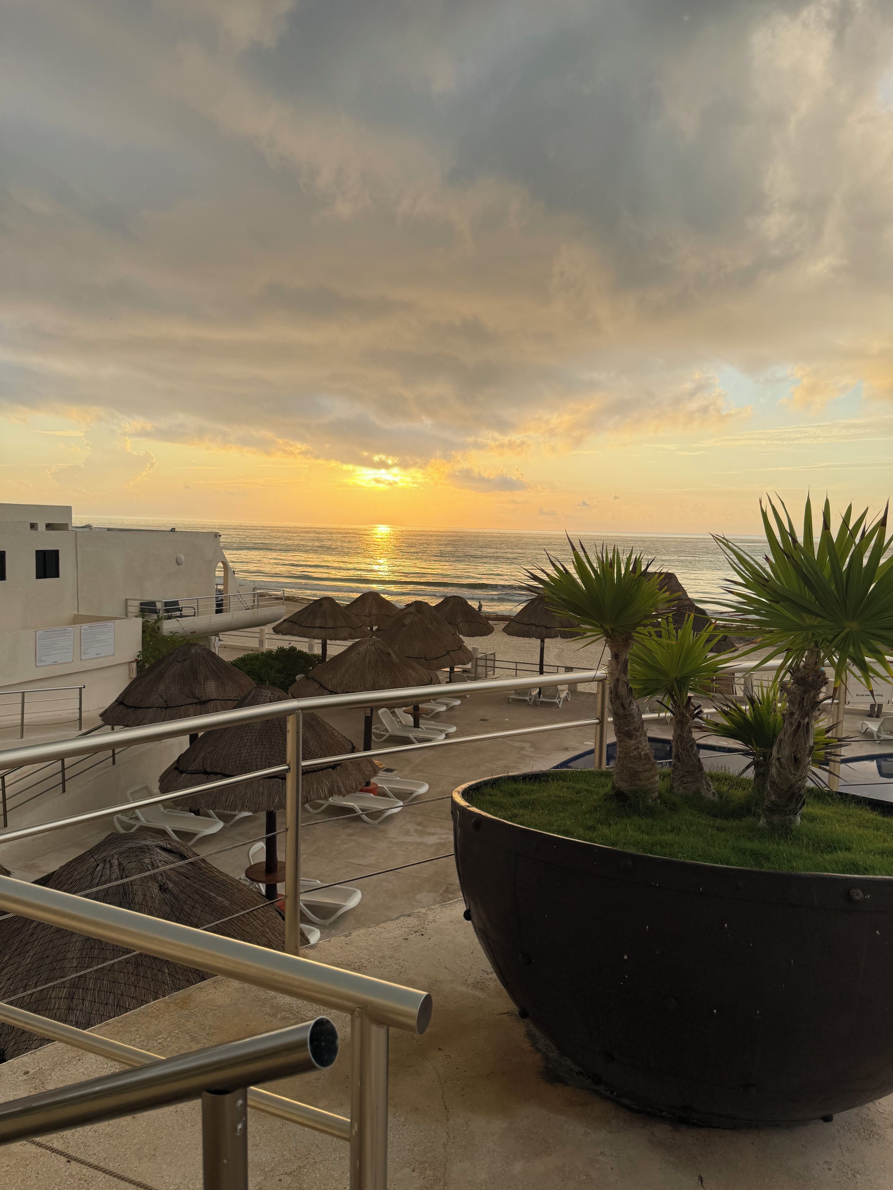 A balcony with a view of the sunset over the sea, a large planter with palm plants, and thatched umbrellas.