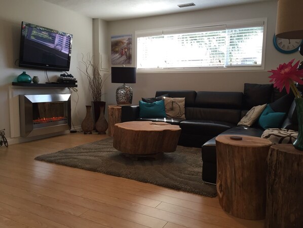 Smart TV, chimenea, videojuegos, libros