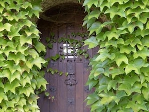 A wooden door partially covered by green ivy leaves. - Villa Marambat (Marambat)