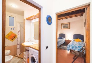 Shower, hair dryer, bidet, towels