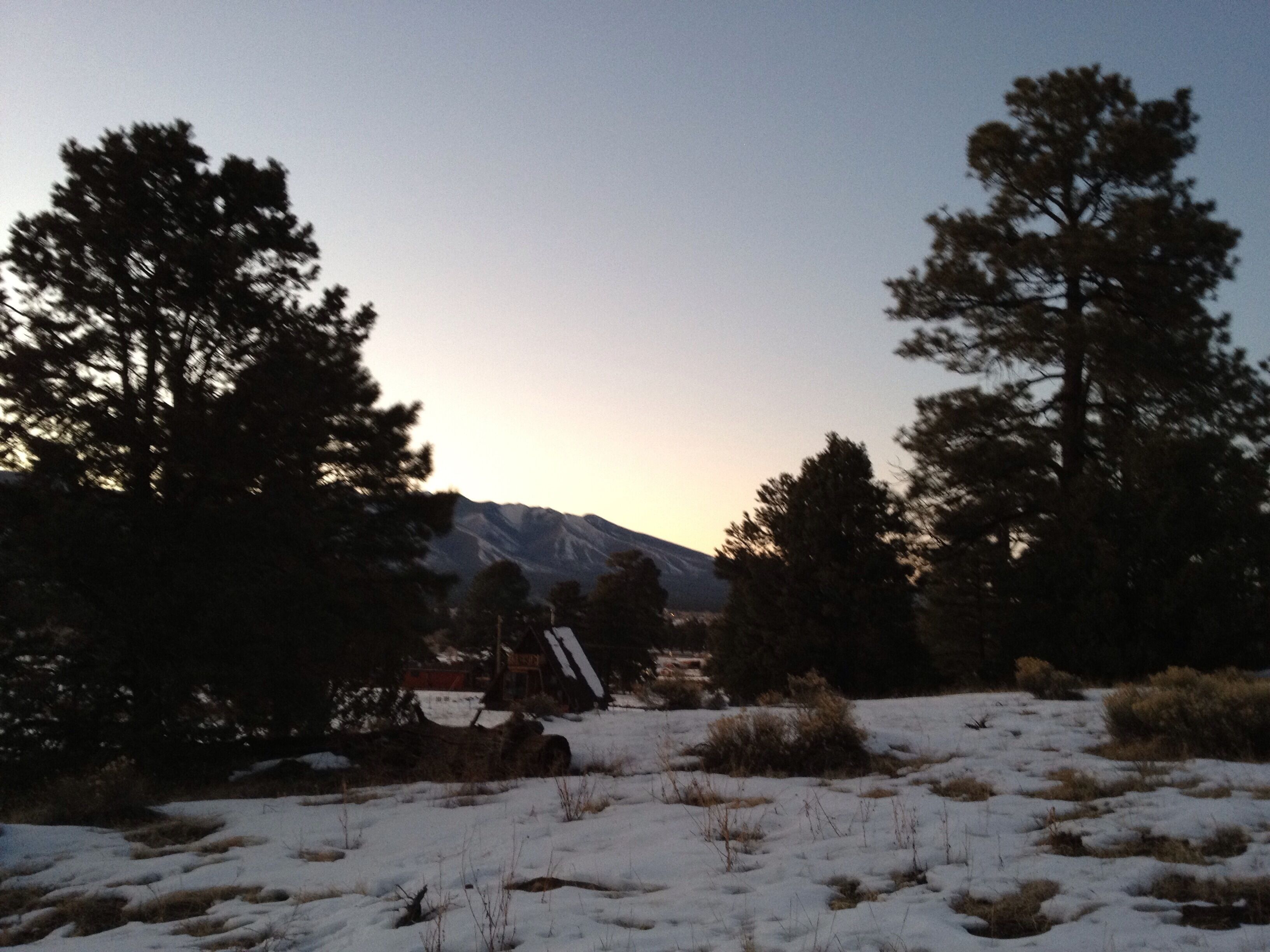 A snowy landscape with trees and a mountain in the background.