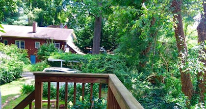 Close to Everything Asheville! Small Deck, Wooded Trails to UNCA, Garden View