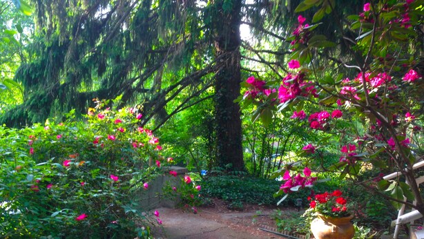 Un jardín con un sendero de piedra, abundante vegetación y plantas en flor.