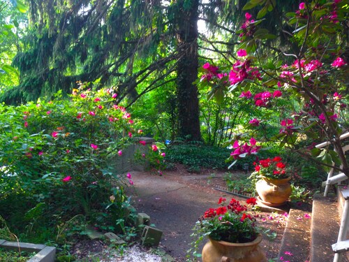 Close to Everything Asheville! Small Deck, Wooded Trails to UNCA, Garden View