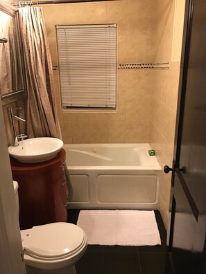 Hair dryer, towels, soap, shampoo - Spacious and Clean 2 Bedroom in Dorchester Neighborhood of Boston (Boston)