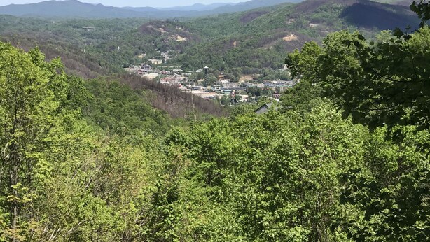 Ein Tal mit einer kleinen Stadt, umgeben von Hügeln und dichtem Wald.