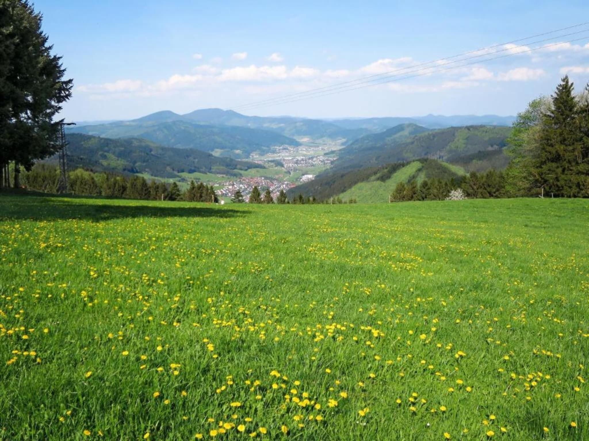 Ein blumengerechtes Feld mit gelben Blüten und Blick auf ein Tal mit Gebäuden.