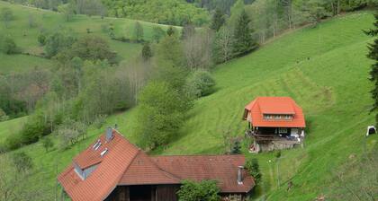 Ferienhaus, Mühlenbach