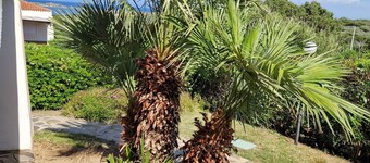 庭園とプライベートプール付きの独占的なヴィラアイリス、5 p。リットル。