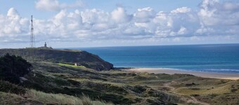 Dy flowers Saint-Maurice-en-Cotentin