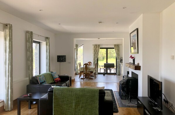 Televisión, chimenea, reproductor de DVD y libros 