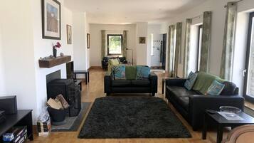 TV, fireplace, DVD player, books